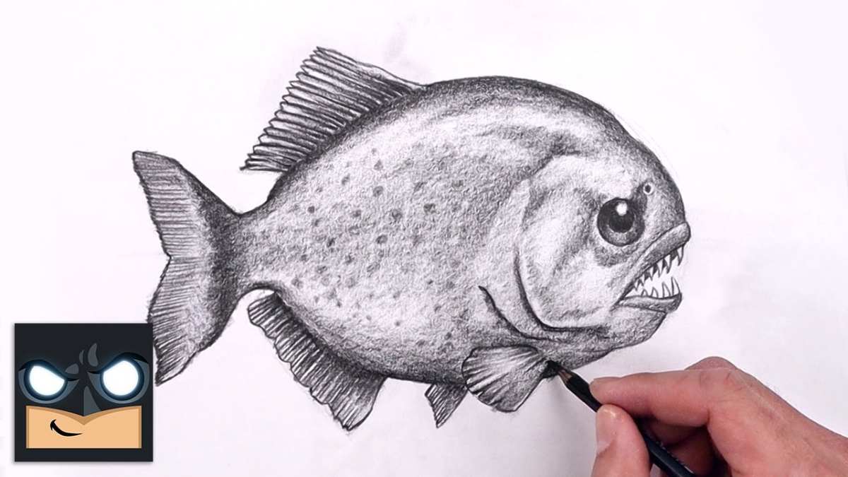 Drawing:4o7kwxpryiy= fish