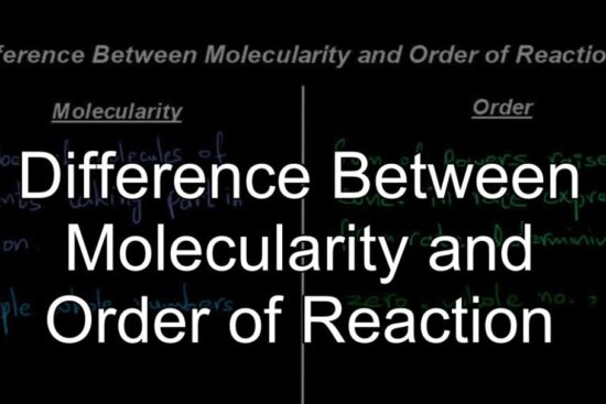 difference between order and molecularity