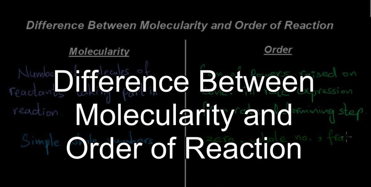 difference between order and molecularity